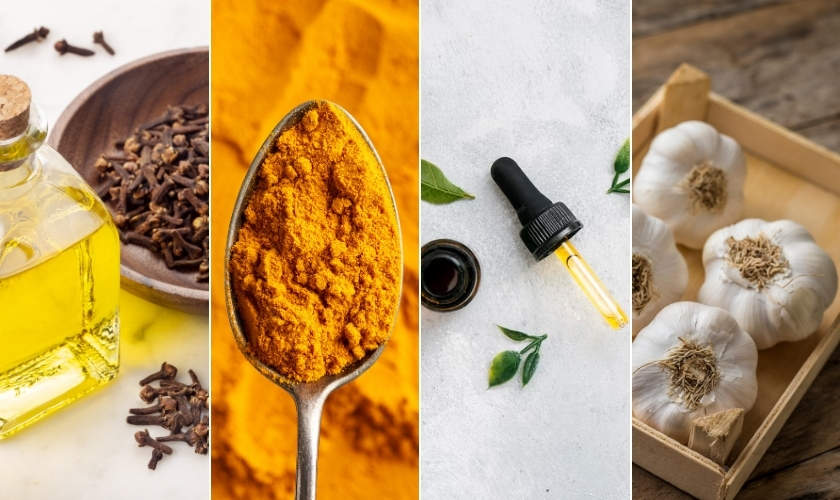 natural-antibiotic-for-tooth-infection